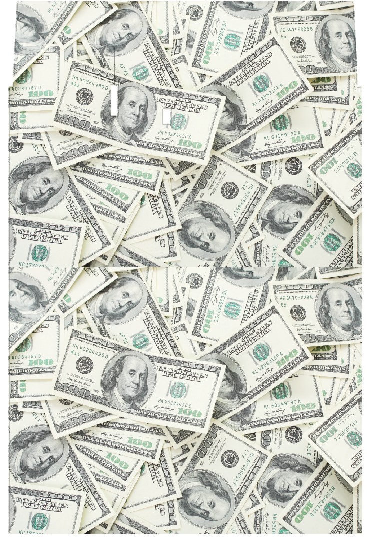 Custom 6 Passenger DS mat - 66in - Money